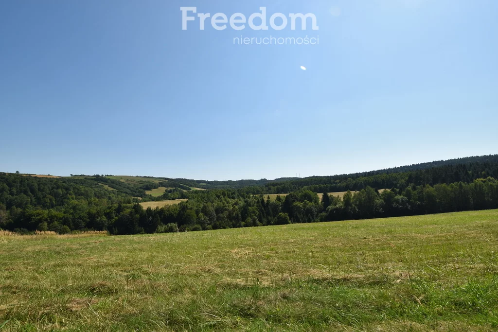 Działka 17 000,00 m², oferta nr , 11032/3685/OGS, Leszczawka