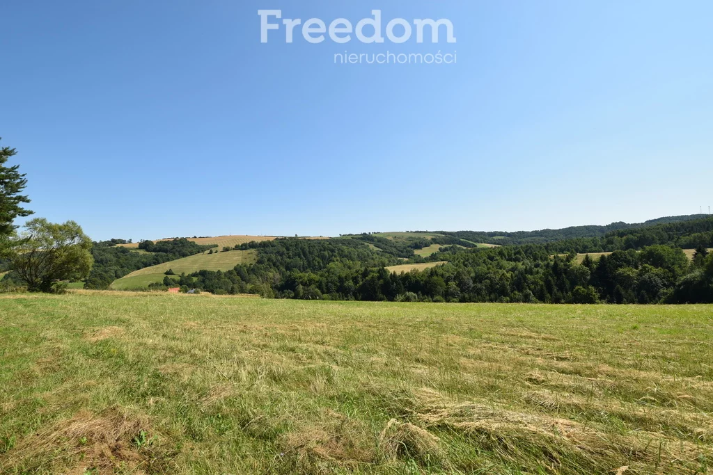 Działka 17 000,00 m², oferta nr , 11032/3685/OGS, Leszczawka