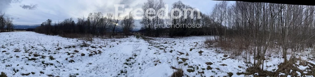 Działka 5 001,00 m², oferta nr , 7274/3685/OGS, Wojcieszyce, Leszczynowa