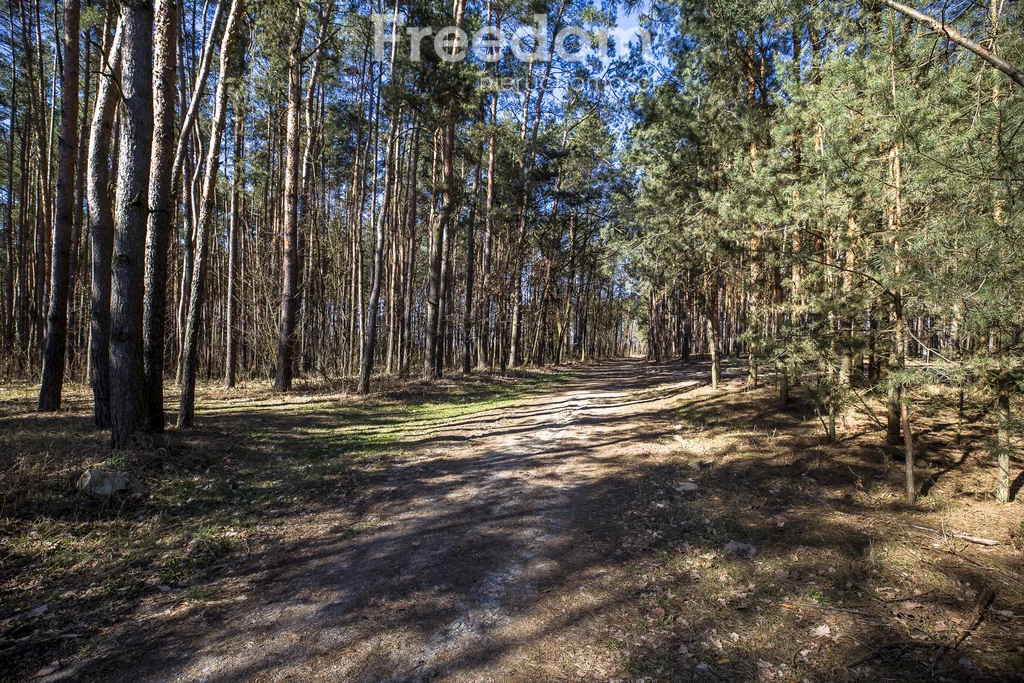 10158/3685/OGS - zdjęcie nr 4
