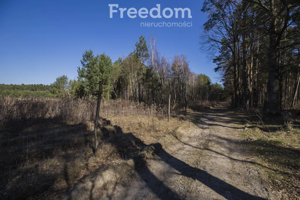 Działka 5 895,00 m², oferta nr , 10158/3685/OGS, Łętownia