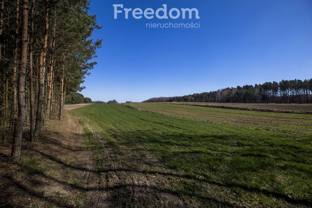 Działka 5 895,00 m², oferta nr , 10158/3685/OGS, Łętownia