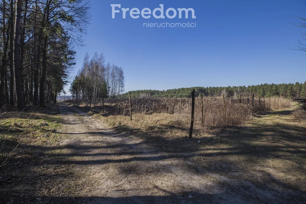 Działka 5 895,00 m², oferta nr , 10158/3685/OGS, Łętownia