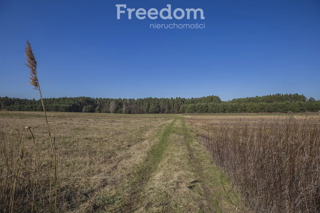 Działka 5 895,00 m², oferta nr , 10158/3685/OGS, Łętownia
