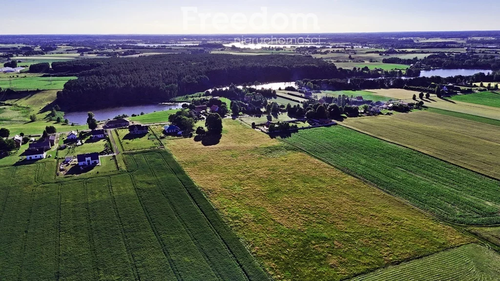 Działka 3 001,00 m², oferta nr , 10771/3685/OGS, Rudzienice, Lipowa