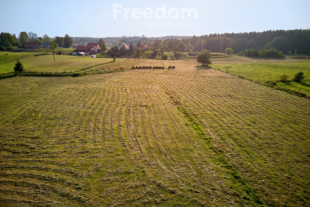 Działka 38 700,00 m², oferta nr , 8852/3685/OGS, Lipowo