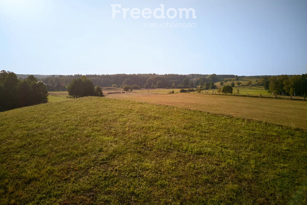 Działka 38 700,00 m², oferta nr , 8852/3685/OGS, Lipowo