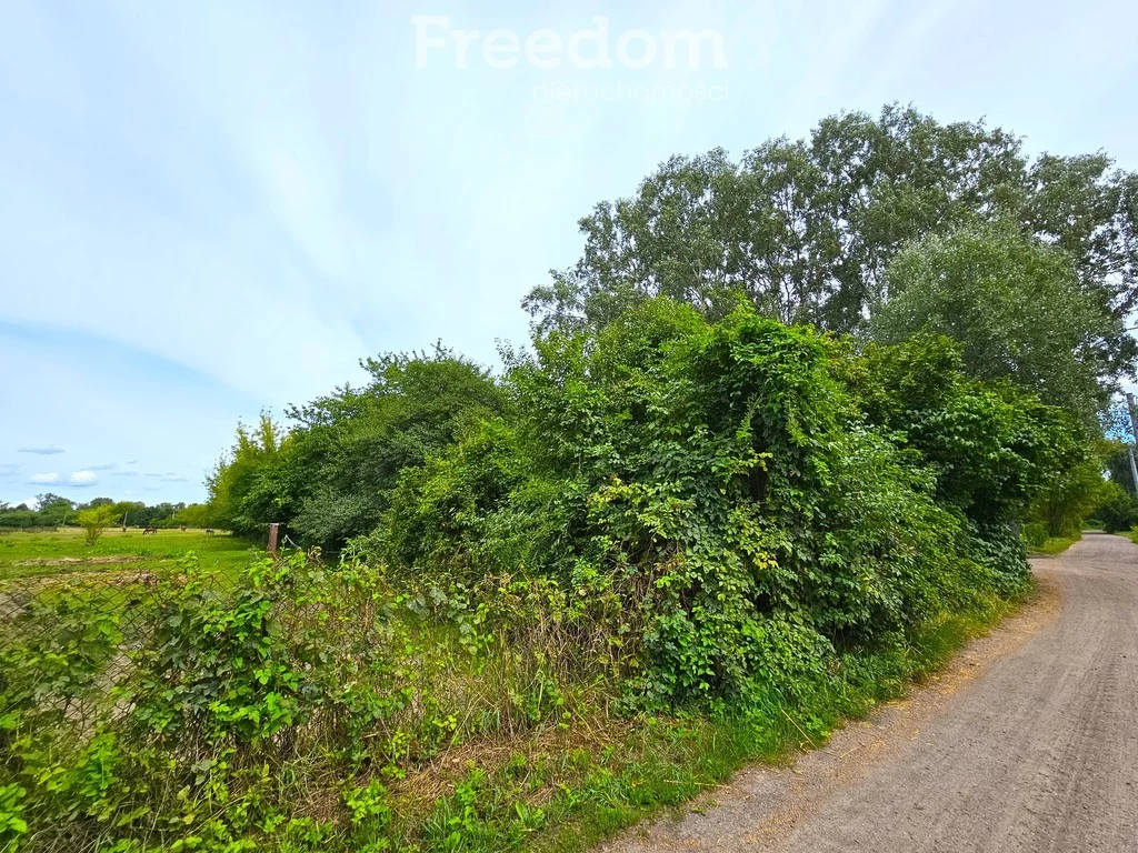 Działka 1 768,00 m², oferta nr , 8236/3685/OGS, Łomianki