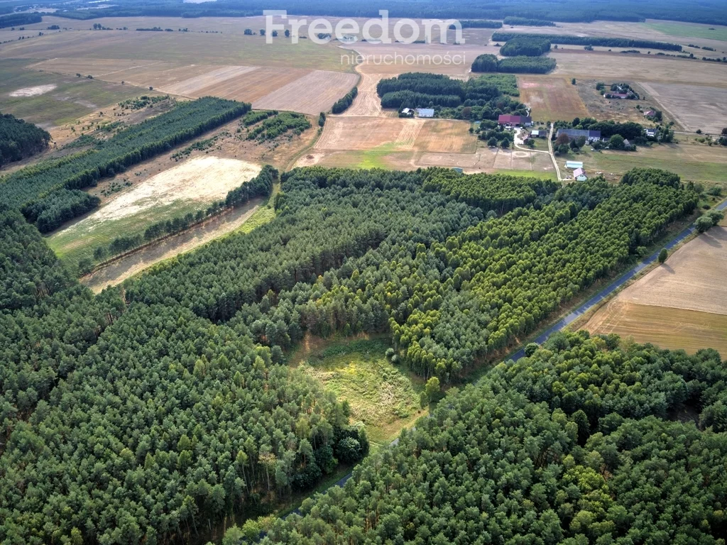 Działka 3 118,00 m², oferta nr , 4702/3685/OGS, Łomnica