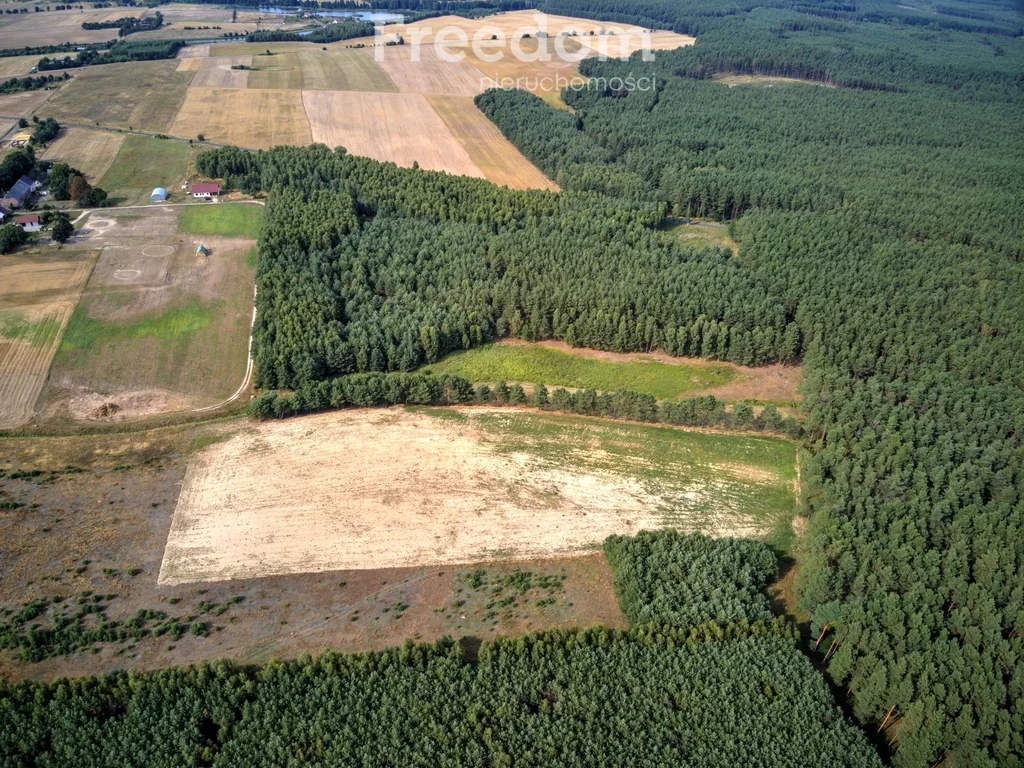 Działka 3 118,00 m², oferta nr , 4702/3685/OGS, Łomnica