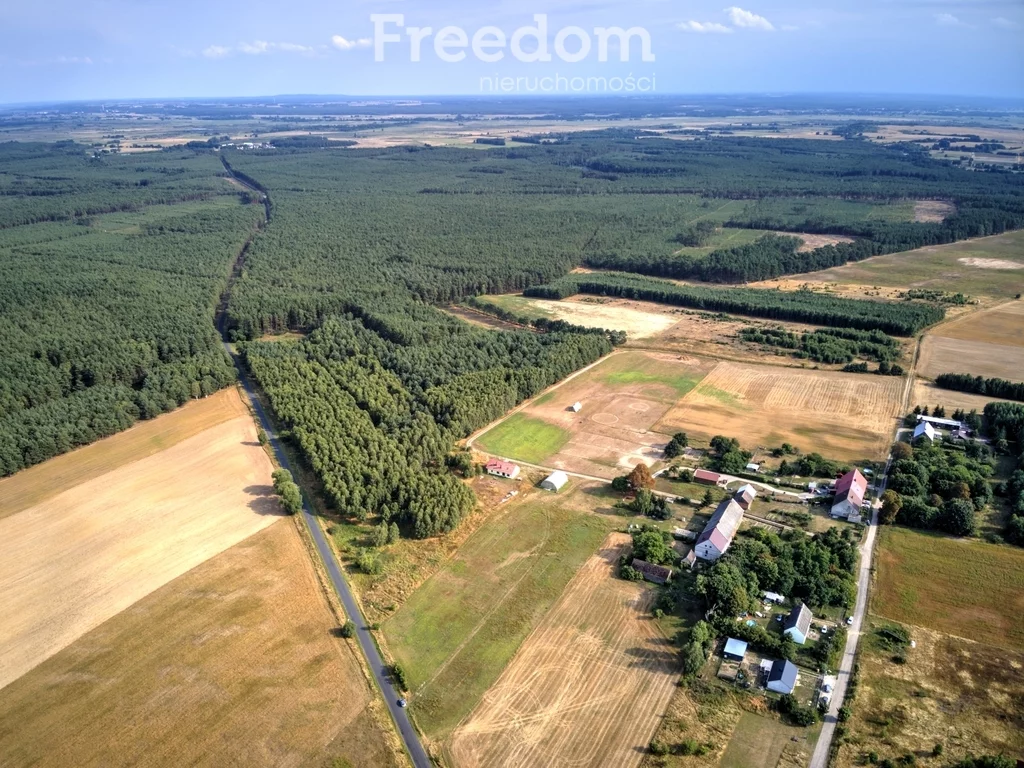Działka 75 500,00 m², oferta nr , 8343/3685/OGS, Łomnica
