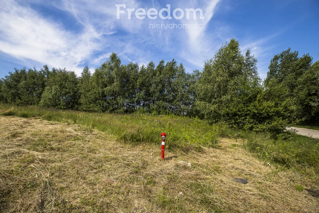 Działka 2 200,00 m², oferta nr , 6642/3685/OGS, Lubenia