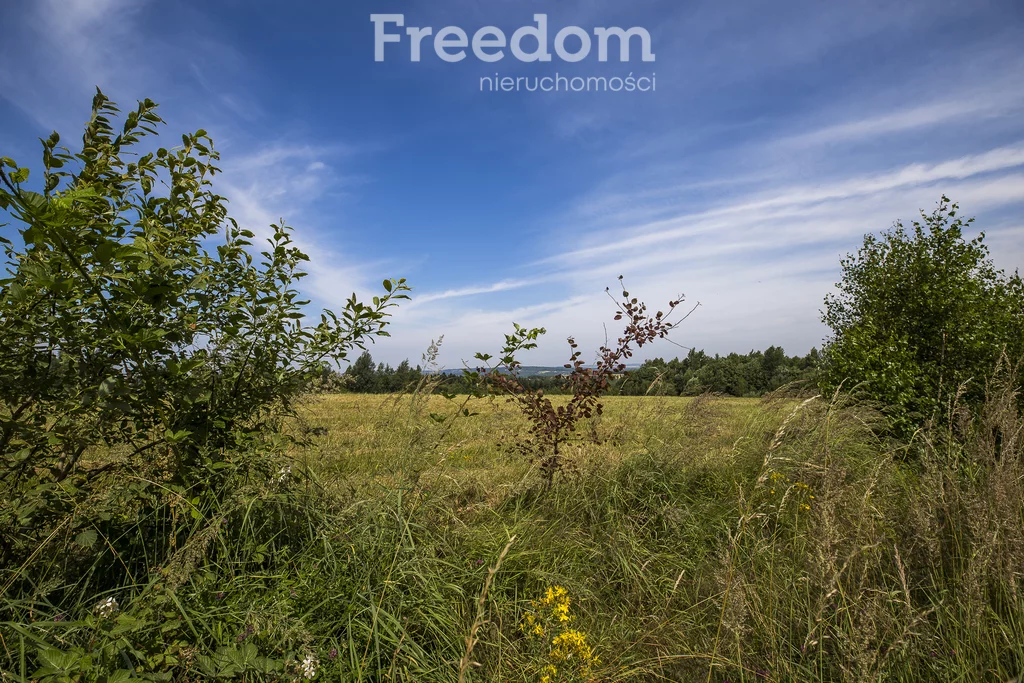 Działka 2 200,00 m², oferta nr , 6642/3685/OGS, Lubenia