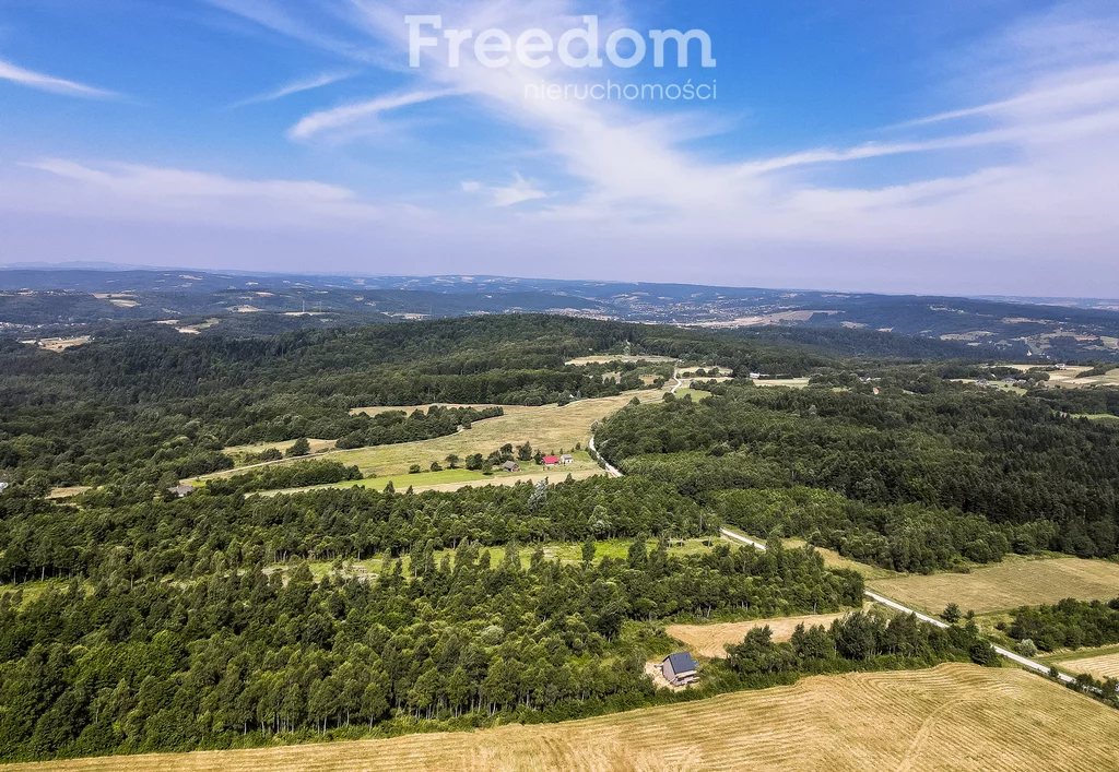 Działka 5 800,00 m², oferta nr , 6641/3685/OGS, Lubenia