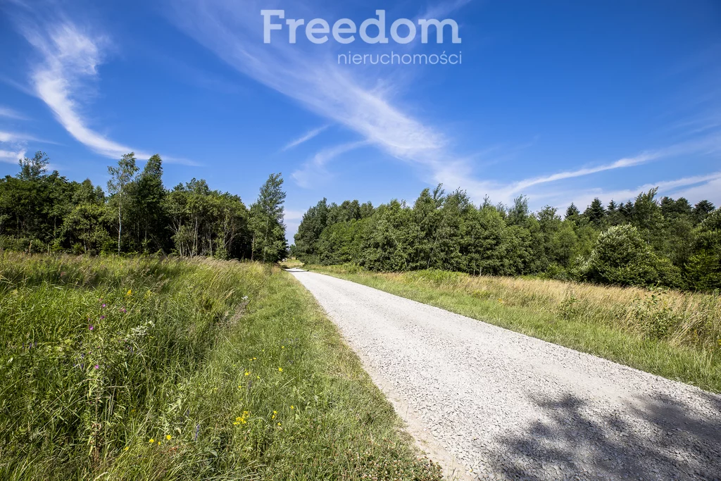 Działka 5 800,00 m², oferta nr , 6641/3685/OGS, Lubenia