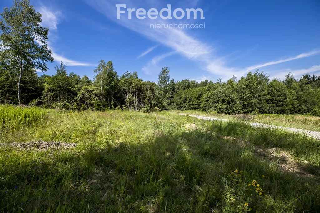 Działka 5 800,00 m², oferta nr , 6641/3685/OGS, Lubenia
