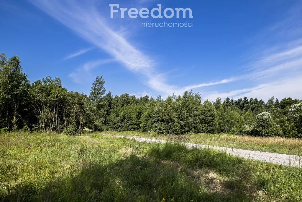 Działka 5 800,00 m², oferta nr , 6641/3685/OGS, Lubenia
