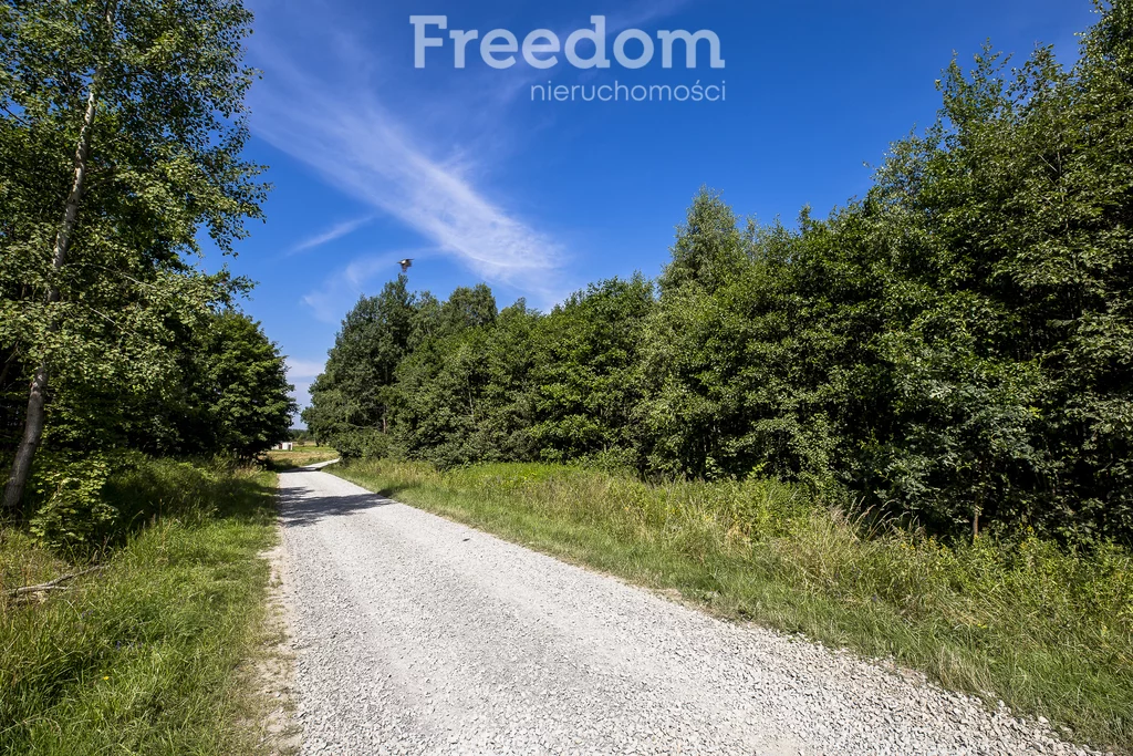 Działka 5 800,00 m², oferta nr , 6641/3685/OGS, Lubenia
