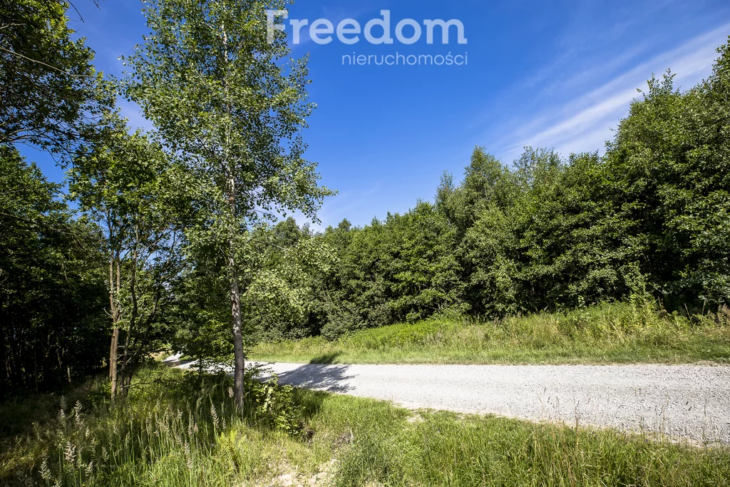 Działka 5 800,00 m², oferta nr , 6641/3685/OGS, Lubenia
