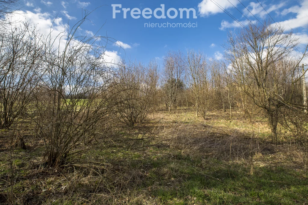 Działka 2 700,00 m², oferta nr , 7387/3685/OGS, Lubenia