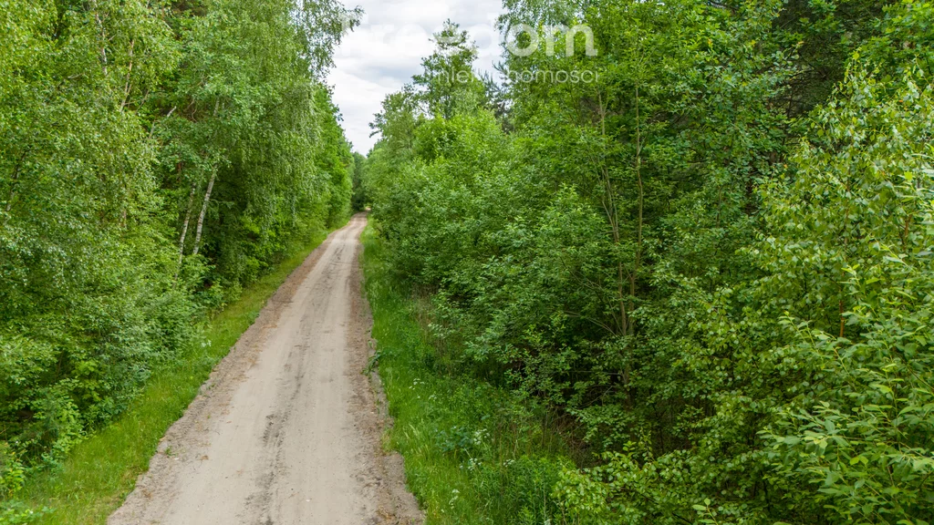 Działka 3 000,00 m², oferta nr , 8285/3685/OGS, Ludwików
