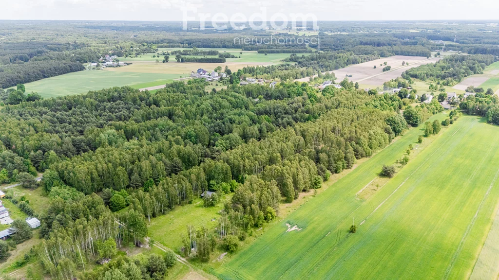 10475/3685/OGS - zdjęcie nr 4