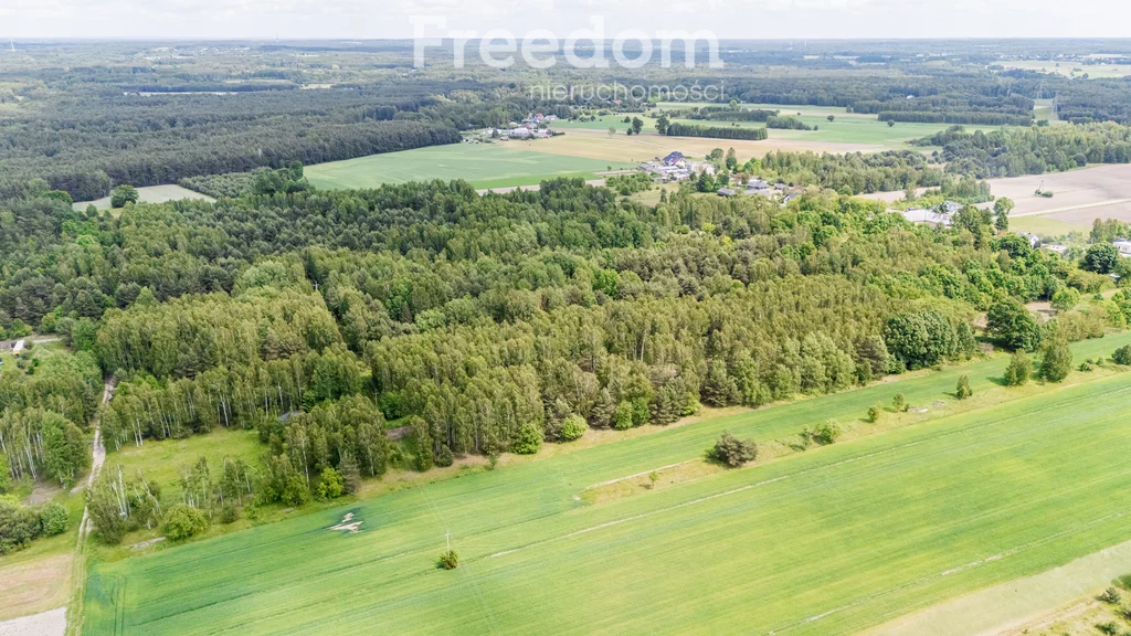 Działka 1 010,00 m², oferta nr , 10475/3685/OGS, Ludwinów