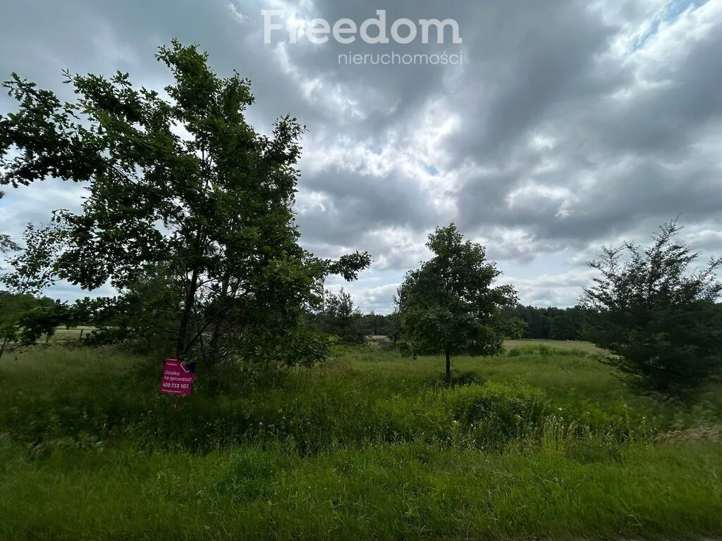 Apartamenty 10733/3685/OGS Ludwinów