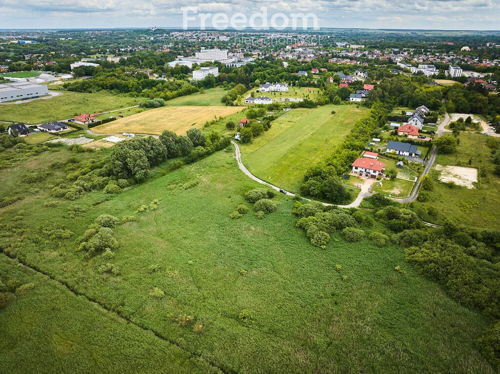 10981/3685/OGS - zdjęcie nr 2