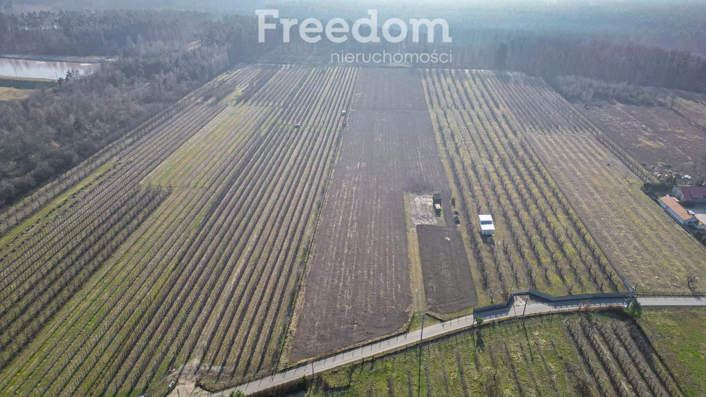 Działka 22 550,00 m², oferta nr , 9997/3685/OGS, Marianka