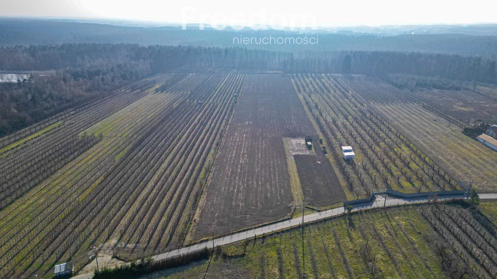 Działka 22 550,00 m², oferta nr , 9997/3685/OGS, Marianka