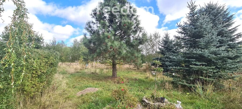 Działka 1 865,00 m², oferta nr , 11505/3685/OGS, Stara Niedziałka, Mazowiecka