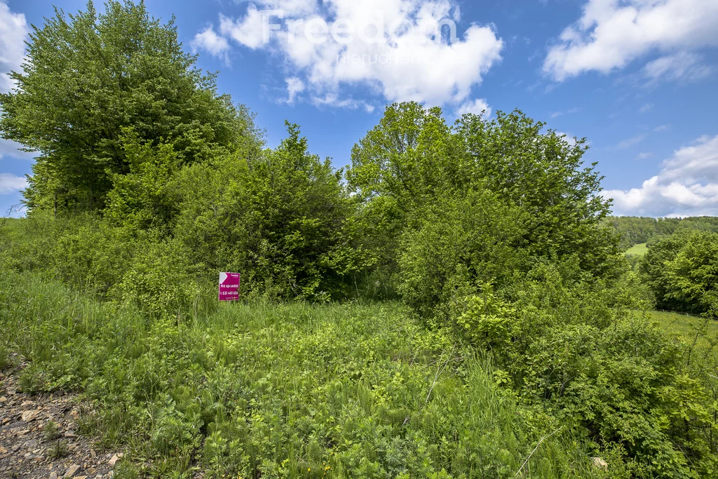 Działka 1 152,00 m², oferta nr , 10778/3685/OGS, Mchawa