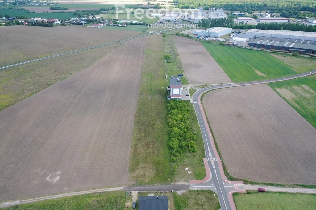 10586/3685/OGS - zdjęcie nr 4