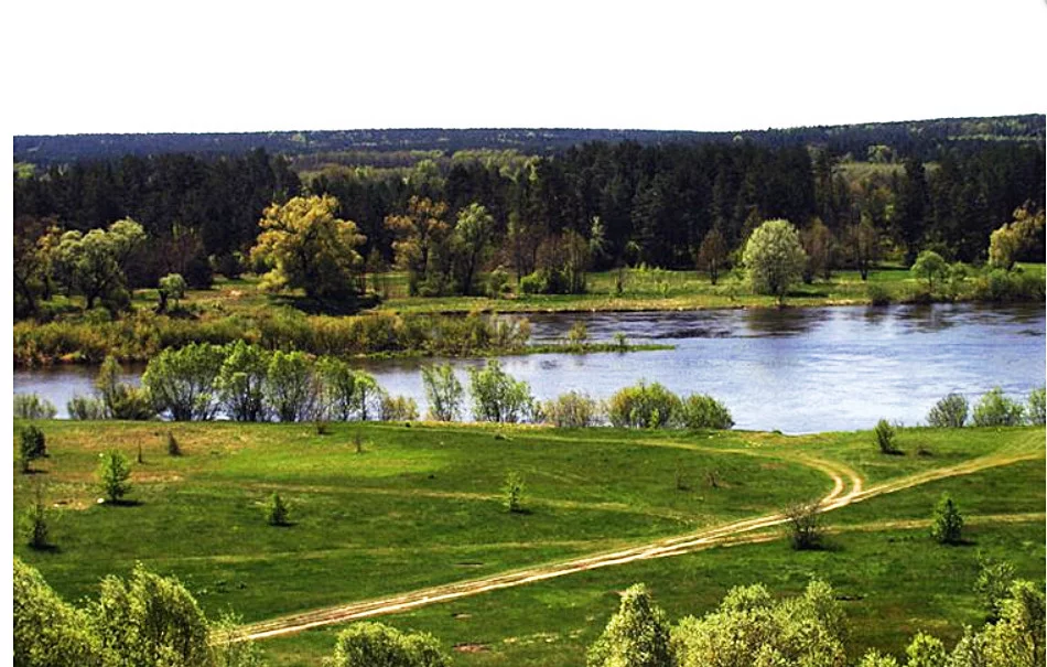 Działka 3 100,00 m², Mielnik, Sprzedaż