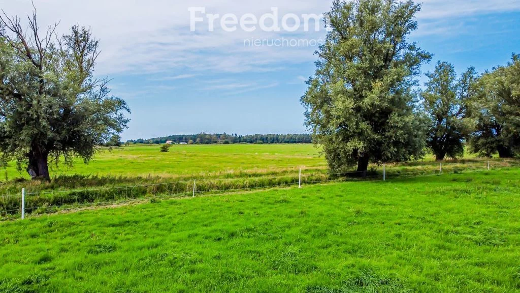 Działka 34 400,00 m², oferta nr , 6775/3685/OGS, Korzystno, Migdałowa