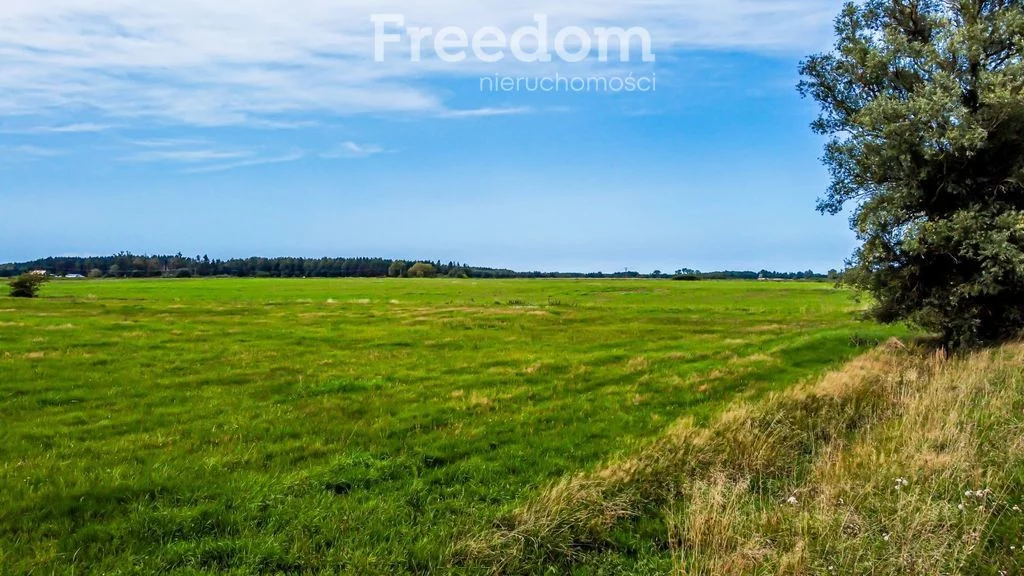 Działka 34 400,00 m², oferta nr , 6775/3685/OGS, Korzystno, Migdałowa