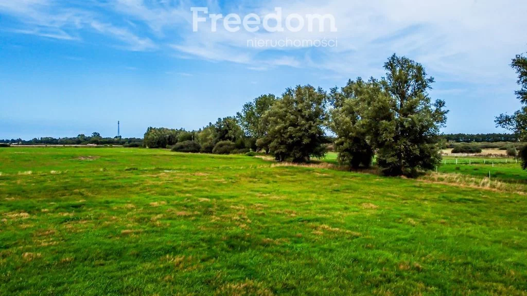 Działka 34 400,00 m², oferta nr , 6775/3685/OGS, Korzystno, Migdałowa