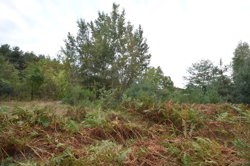 Działka 1 528,00 m², oferta nr , 11288/3685/OGS, Miłkowska Karczma