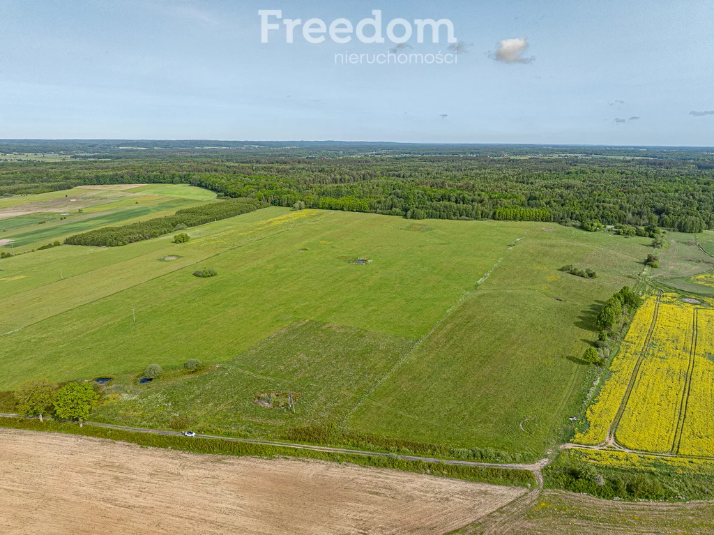 Działka 196 400,00 m², oferta nr , 11130/3685/OGS, Młynarska Wola