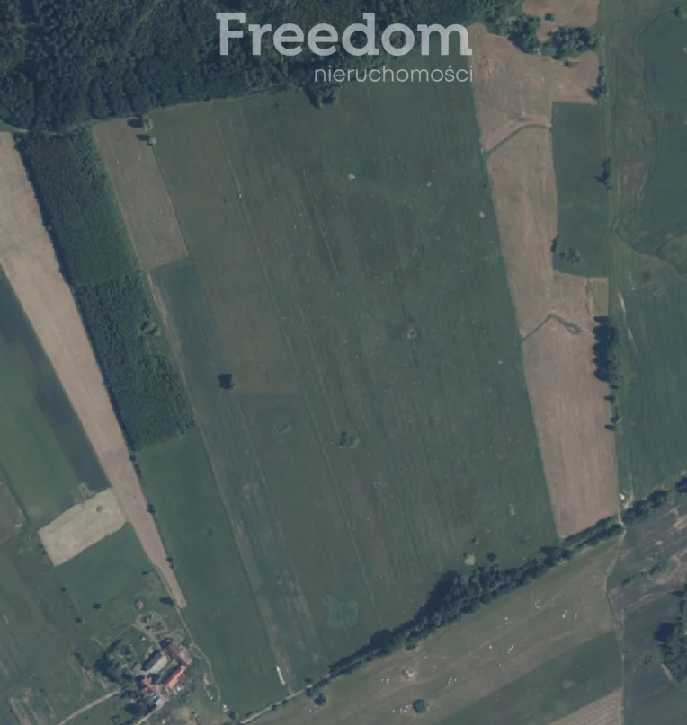 Działka 196 400,00 m², oferta nr , 11130/3685/OGS, Młynarska Wola