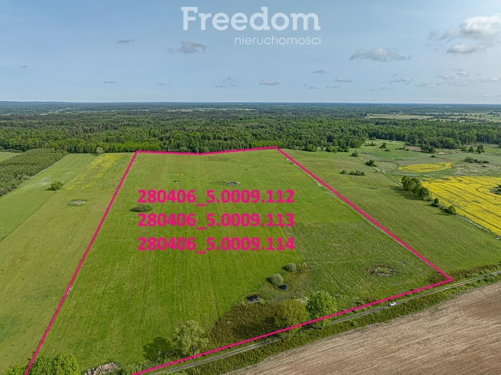 Działka 196 400,00 m², oferta nr , 11361/3685/OGS, Młynarska Wola