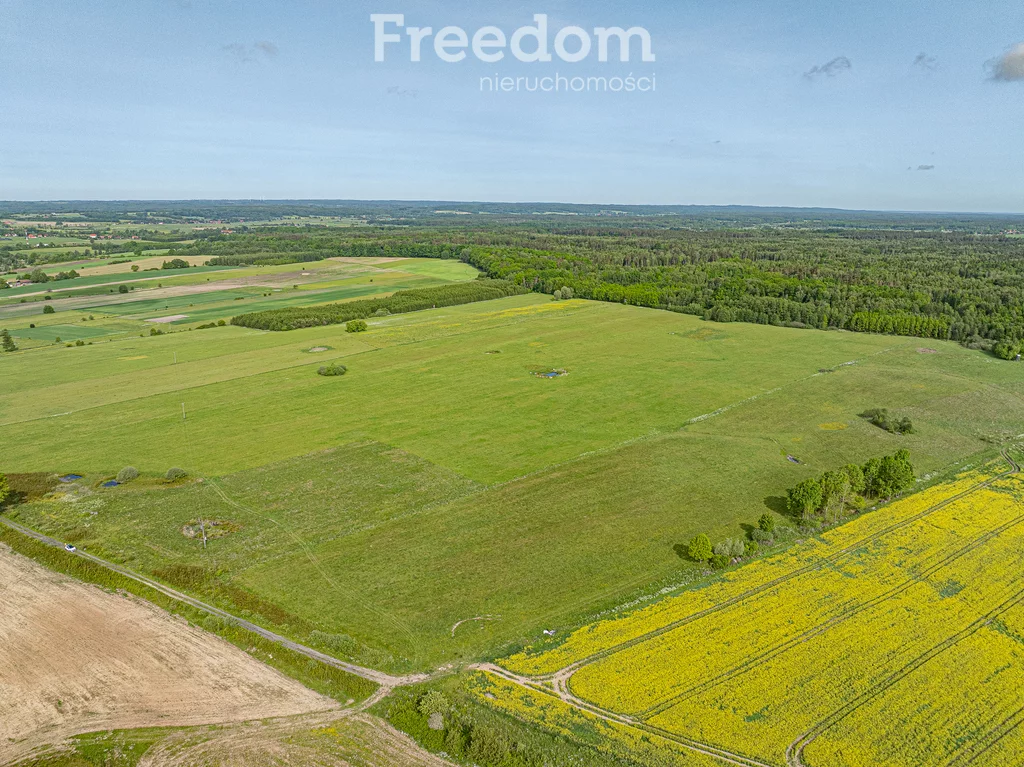 Działka 196 400,00 m², oferta nr , 11361/3685/OGS, Młynarska Wola