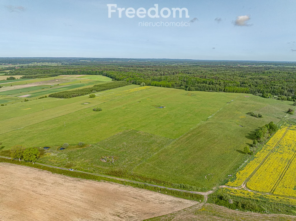 Działka 196 400,00 m², oferta nr , 11361/3685/OGS, Młynarska Wola