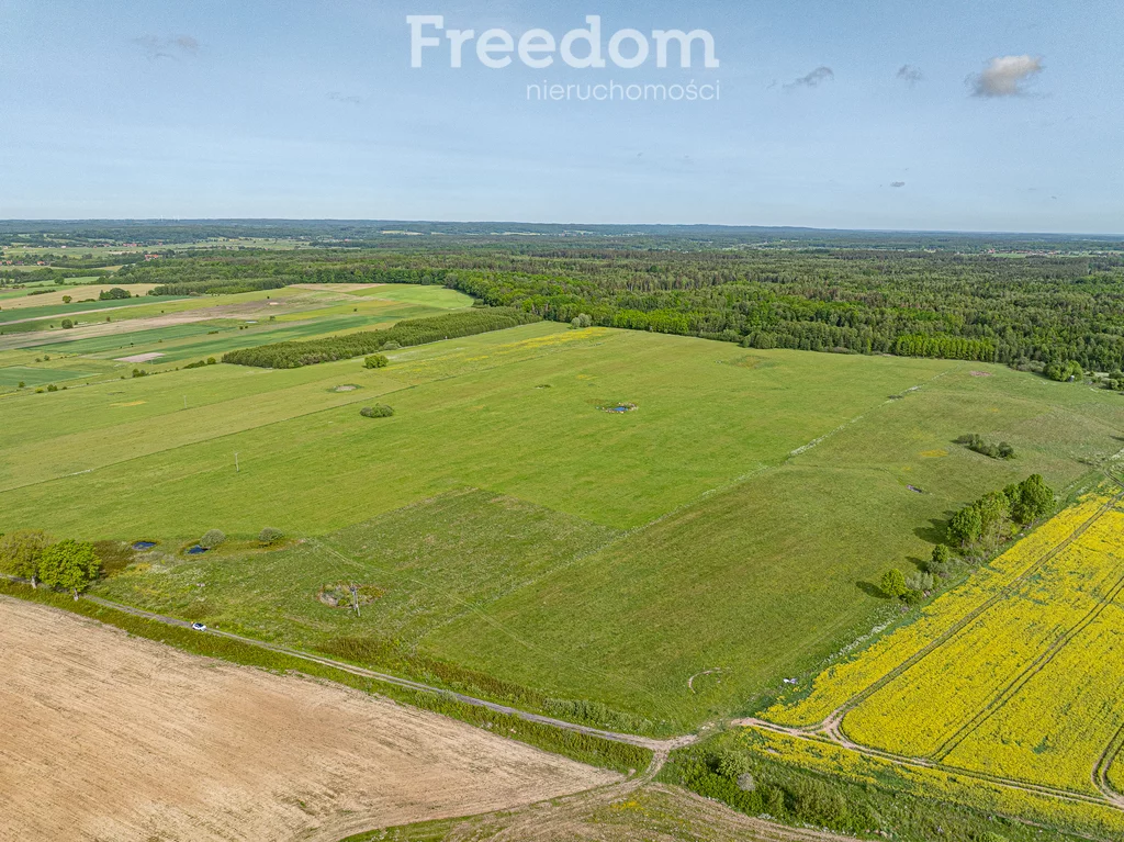Działka 196 400,00 m², oferta nr , 11361/3685/OGS, Młynarska Wola