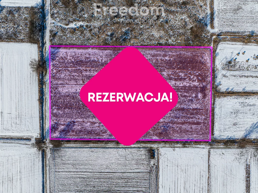 10314/3685/OGS - zdjęcie nr 2