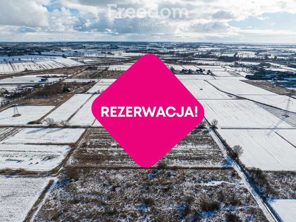 10314/3685/OGS - zdjęcie nr 4