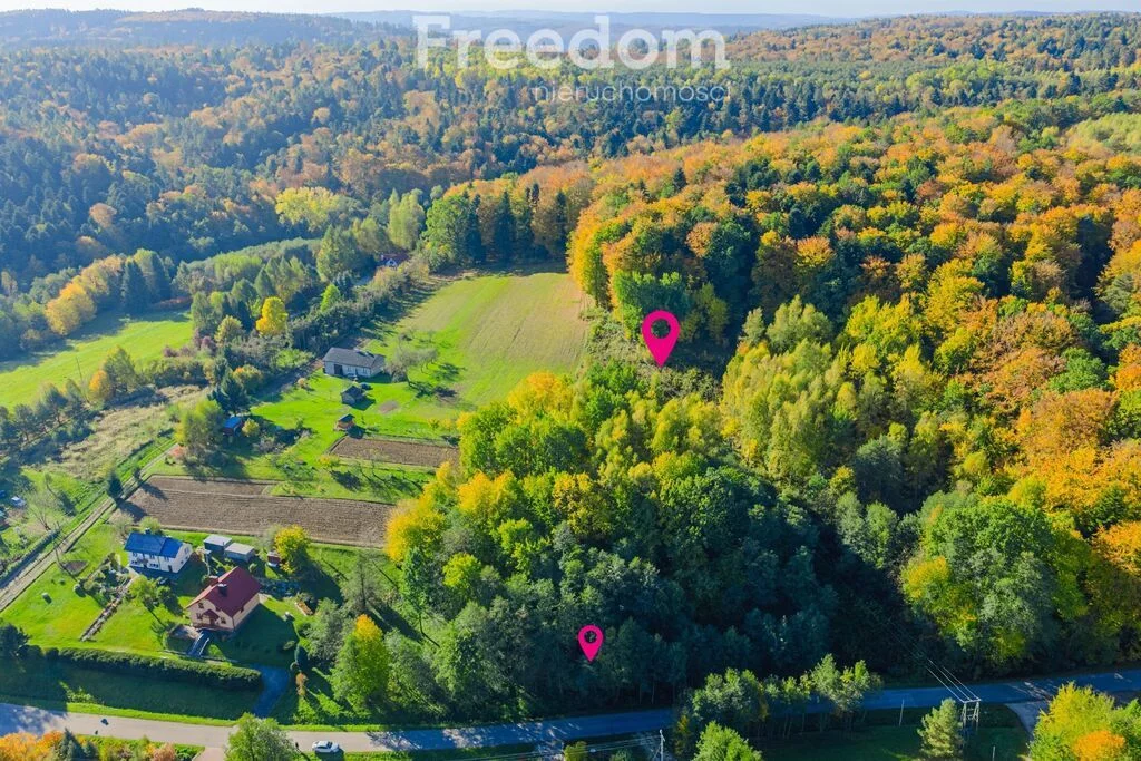 Apartamenty 11502/3685/OGS Mogielnica