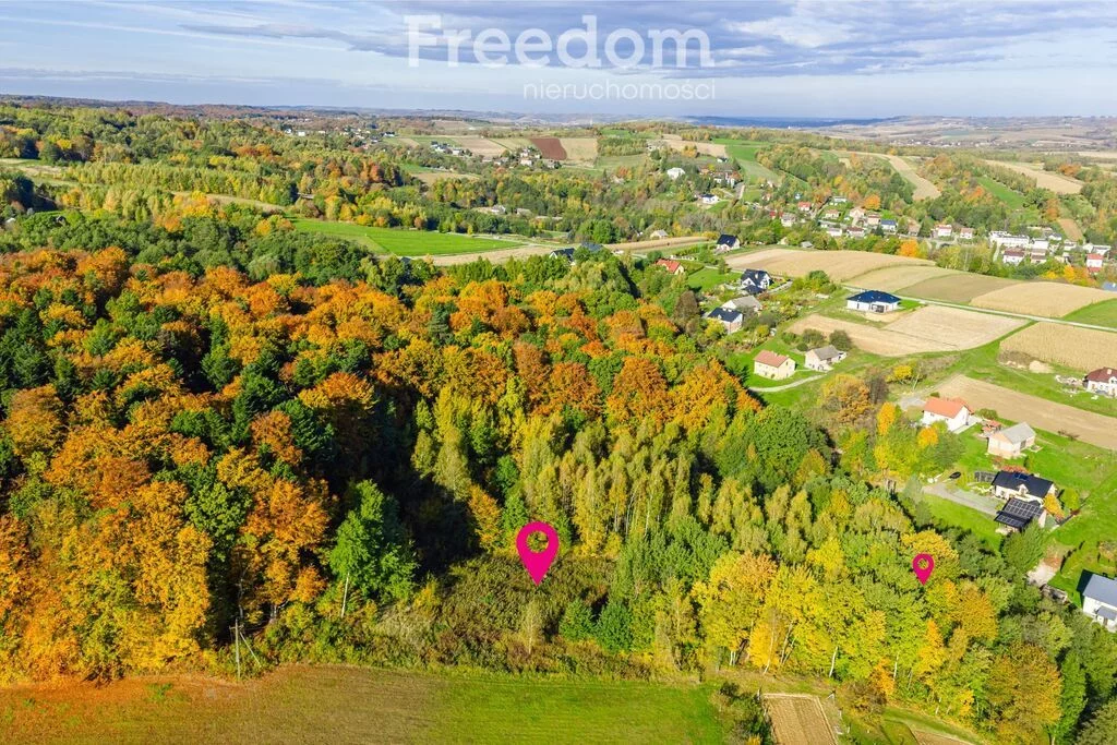 Działka 5 779,00 m², oferta nr , 11502/3685/OGS, Mogielnica