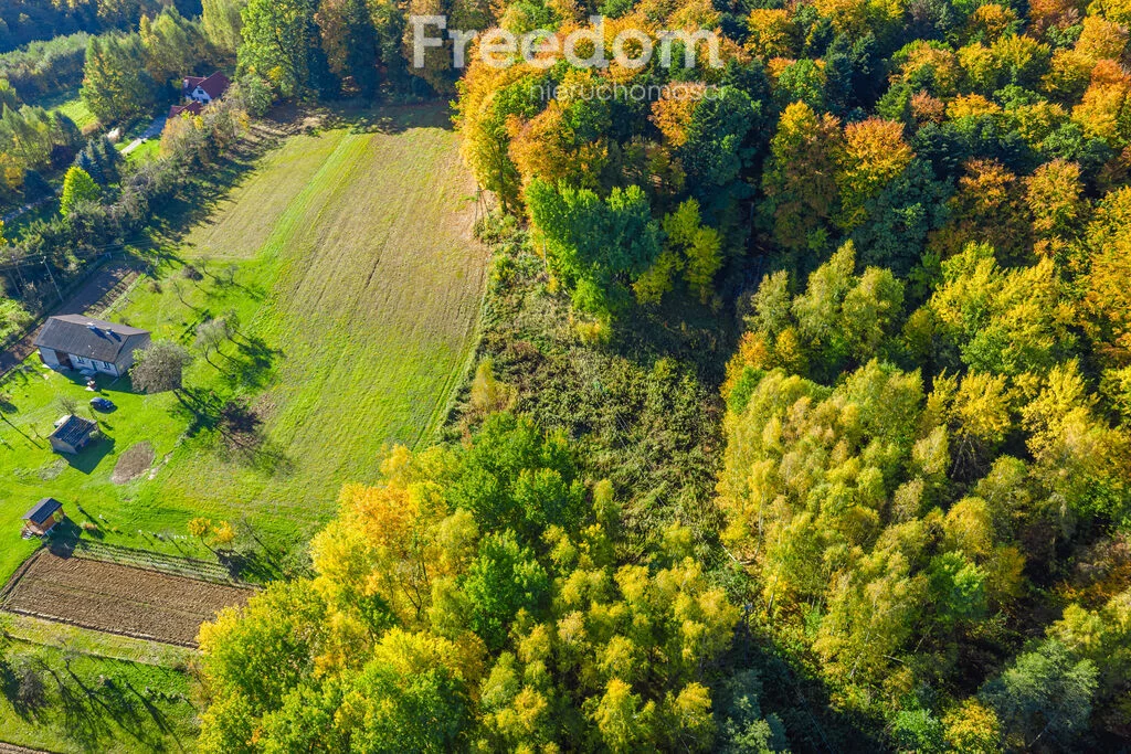 Działka 5 779,00 m², oferta nr , 11502/3685/OGS, Mogielnica